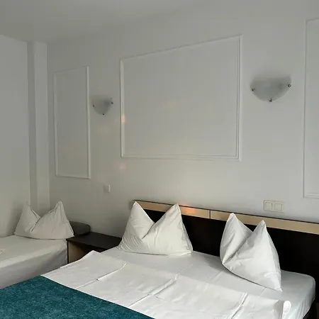 Vila Sofia Pensiune 3*